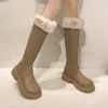 Lucyever Winter Khaki Platform Knee High Boots Women 2022 Back Zipper Long Fur Boots Woman Thick Heels Warm Plush Shoes Female